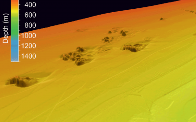 Cold-water coral growth under extreme environmental conditions, the Cape Lookout area, NW Atlantic