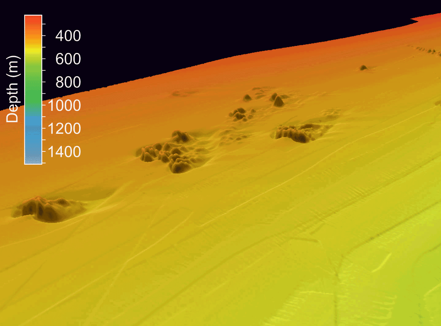 Cold-water coral growth under extreme environmental conditions, the Cape Lookout area, NW Atlantic