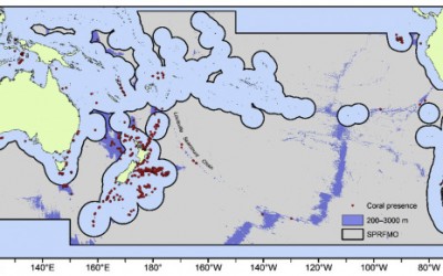 Field validation of habitat suitability models for vulnerable marine ecosystems