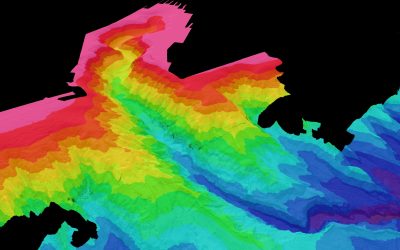 Distributions and habitat associations of deep-water corals in Norfolk and Baltimore canyons