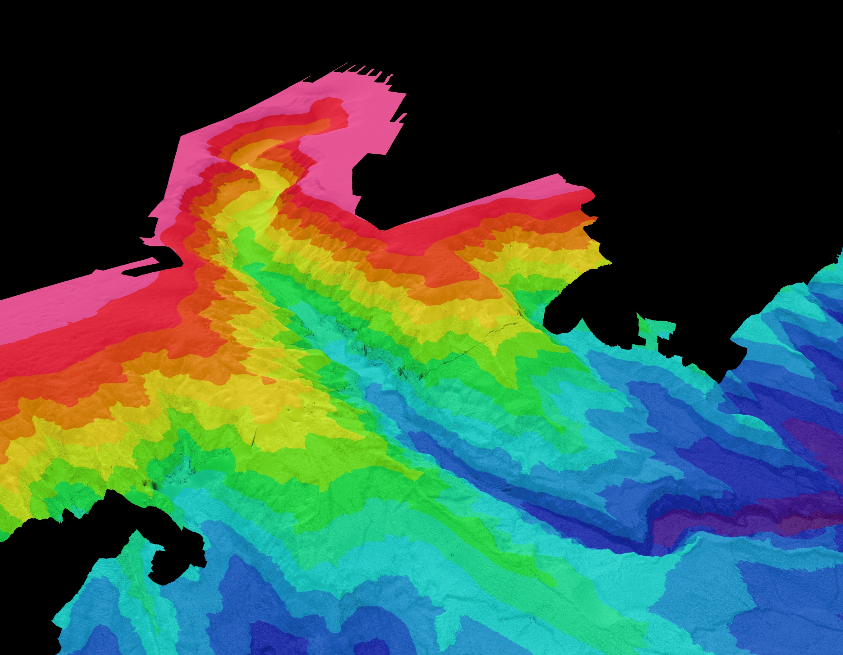 Distributions and habitat associations of deep-water corals in Norfolk and Baltimore canyons