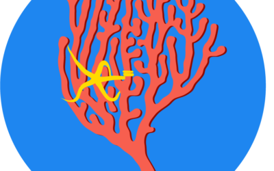 Towards transparency and reproducibility in environmental covariates for deep-sea species distribution modeling