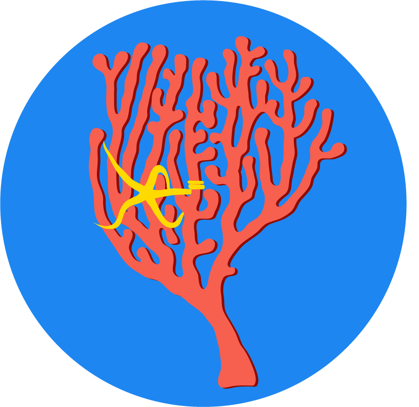 Towards transparency and reproducibility in environmental covariates for deep-sea species distribution modeling
