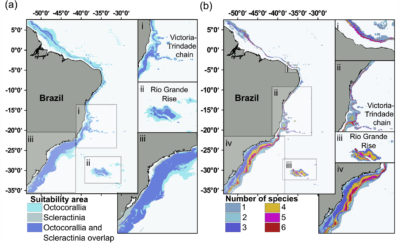 Habitat suitability and environmental niche comparison of cold-water coral species along the Brazilian continental margin