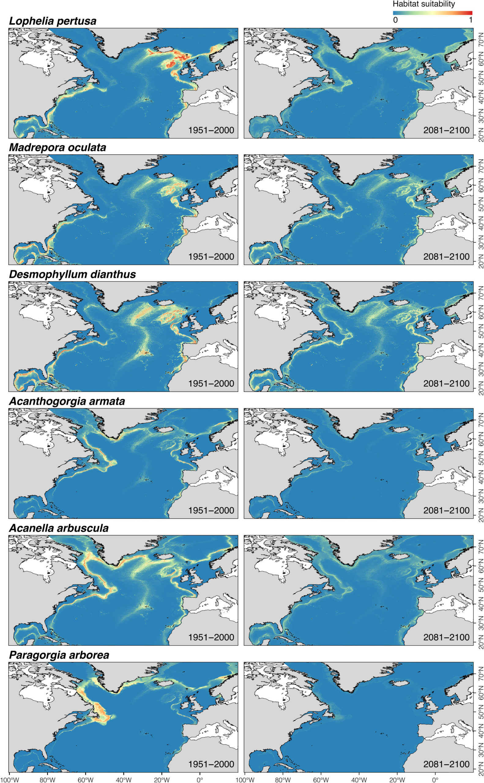 Climate‐induced changes in the suitable habitat of cold‐water corals and commercially important deep‐sea fishes in the North Atlantic