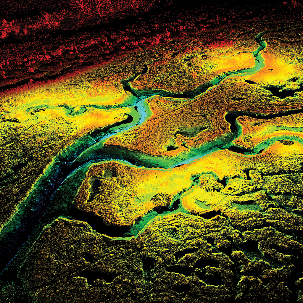 Three-dimensional digital mapping of ecosystems: a new era in spatial ecology