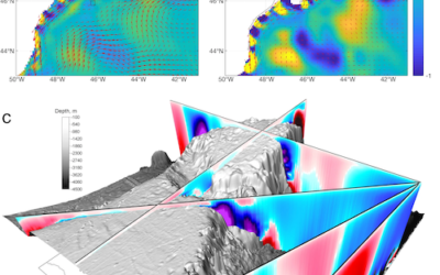 3-D Ocean Particle Tracking Modeling Reveals Extensive Vertical Movement and Downstream Interdependence of Closed Areas in the Northwest Atlantic