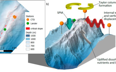 Long‐term Observations Reveal Environmental Conditions and Food Supply Mechanisms at an Arctic Deep‐Sea Sponge Ground