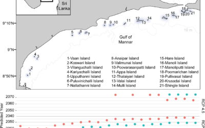 Coral reef resilience differs among islands within the Gulf of Mannar, southeast India, following successive coral bleaching events