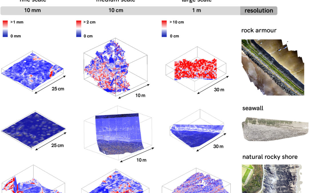 Artificial shorelines lack natural structural complexity across scales