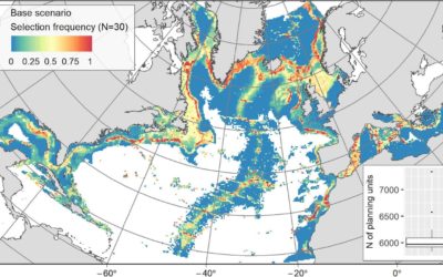 Systematic Conservation Planning at an Ocean Basin Scale: Identifying a Viable Network of Deep-Sea Protected Areas in the North Atlantic and the Mediterranean