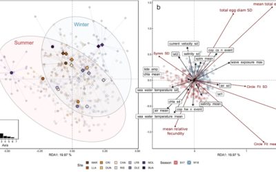 Environmental optima for an ecosystem engineer: a multidisciplinary trait-based approach