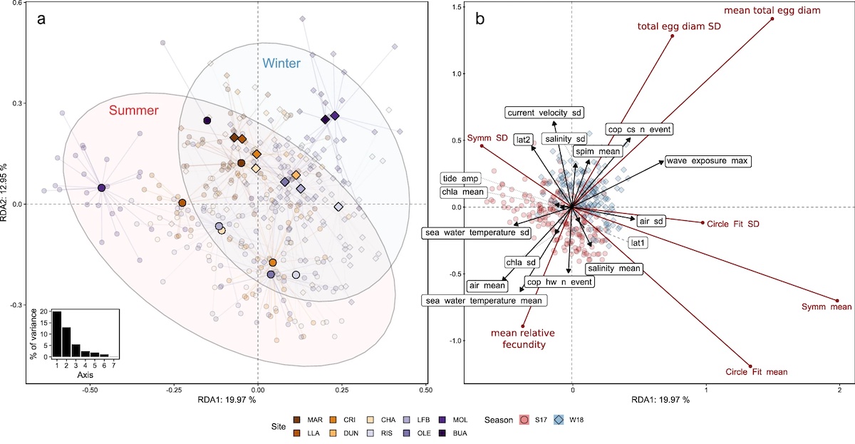 Environmental optima for an ecosystem engineer: a multidisciplinary trait-based approach