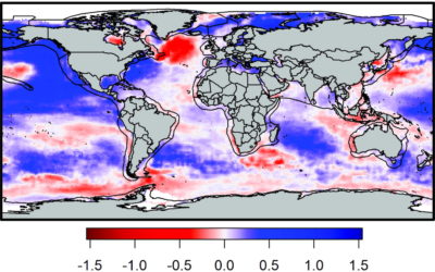 Trends in phytoplankton communities within large marine ecosystems diverge from the global ocean