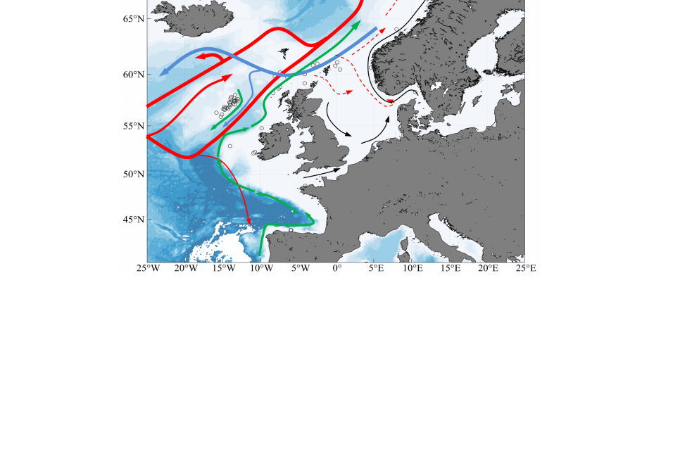Preprint: Connectivity of sponge grounds in the deep sea: genetic diversity, gene flow and oceanographic pathways in the fan-shaped sponge Phakellia ventilabrum in the northeast Atlantic