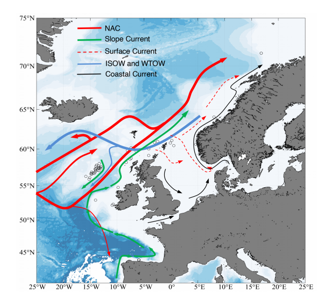 Preprint: Connectivity of sponge grounds in the deep sea: genetic diversity, gene flow and oceanographic pathways in the fan-shaped sponge Phakellia ventilabrum in the northeast Atlantic