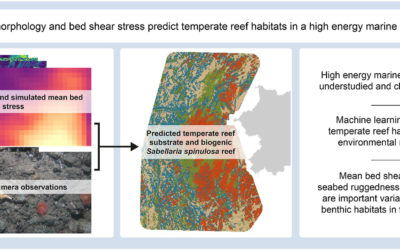 Seabed morphology and bed shear stress predict temperate reef habitats in a high energy marine region