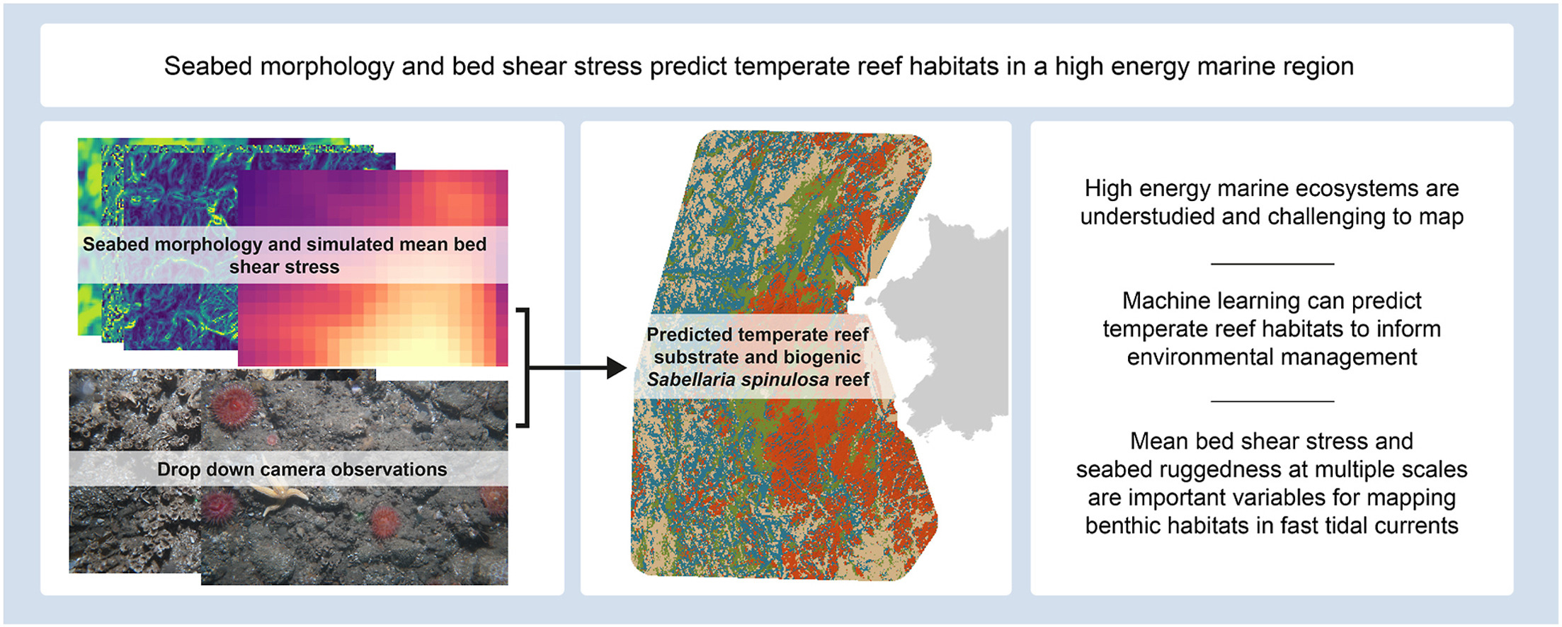 Seabed morphology and bed shear stress predict temperate reef habitats in a high energy marine region