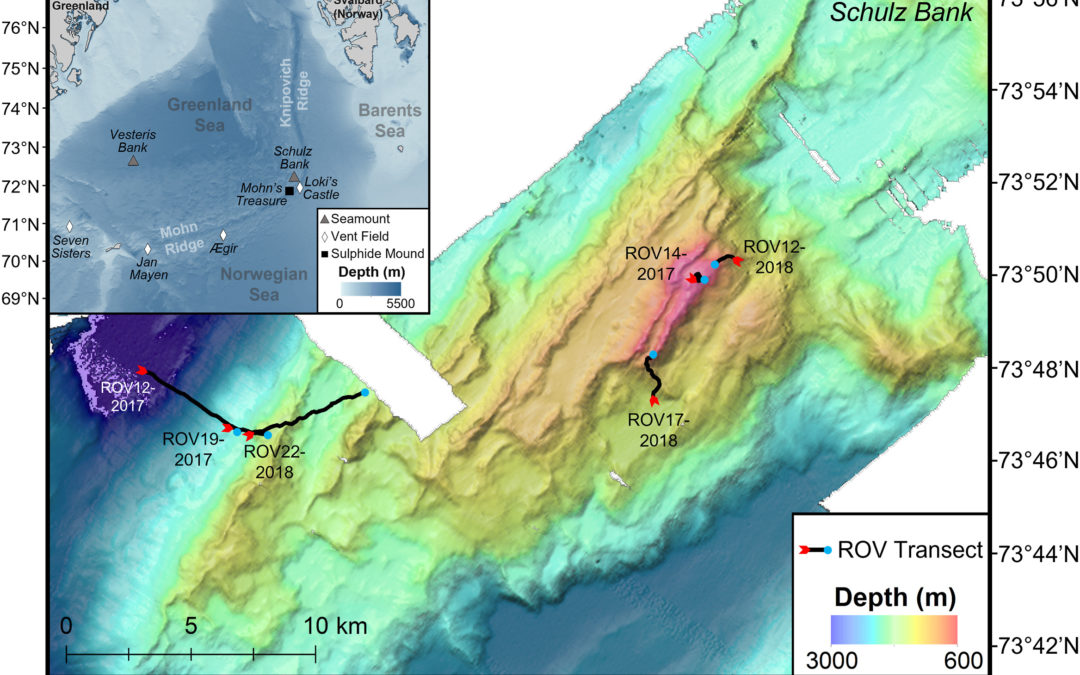 Beyond the tip of the seamount: Distinct megabenthic communities found beyond the charismatic summit sponge ground on an arctic seamount (Schulz Bank, Arctic Mid-Ocean Ridge)