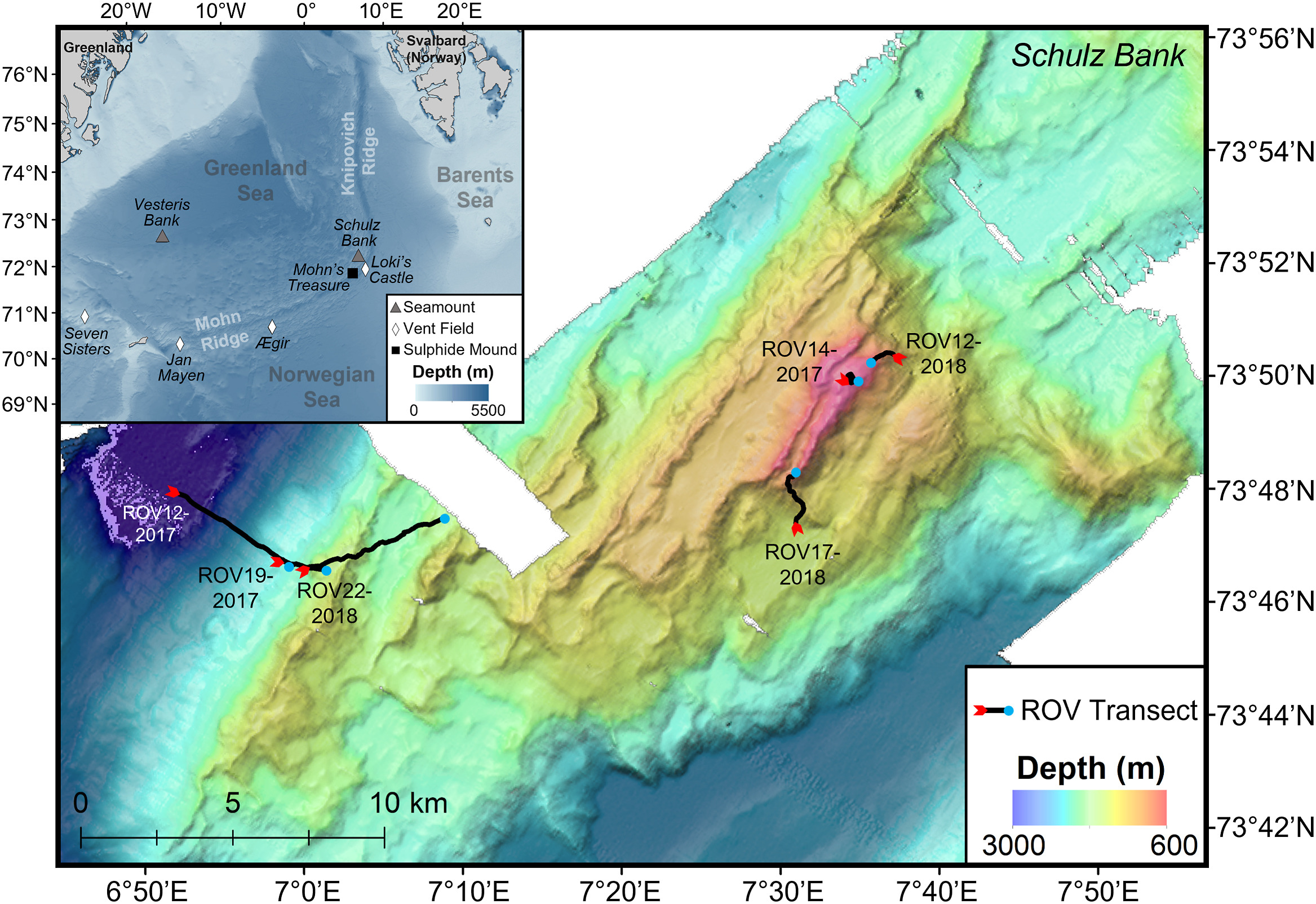 Beyond the tip of the seamount: Distinct megabenthic communities found beyond the charismatic summit sponge ground on an arctic seamount (Schulz Bank, Arctic Mid-Ocean Ridge)