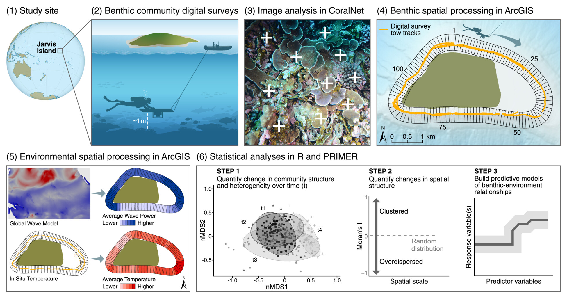 Recurring bleaching events disrupt the spatial properties of coral reef benthic communities across scales