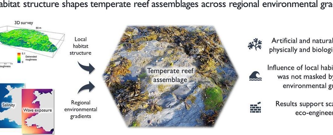 Habitat structure shapes temperate reef assemblages across regional environmental gradients