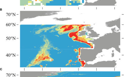 Environmental drivers and the distribution of cold-water corals in the global ocean