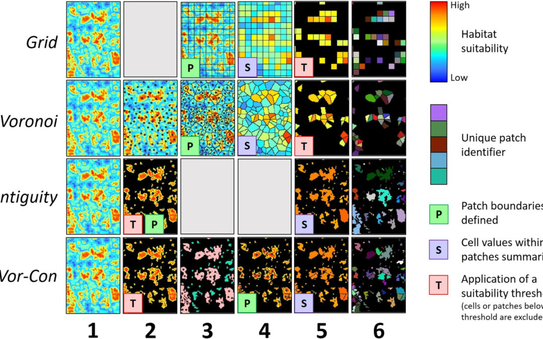 Predicting the spatial expansion of an animal population with presence-only data