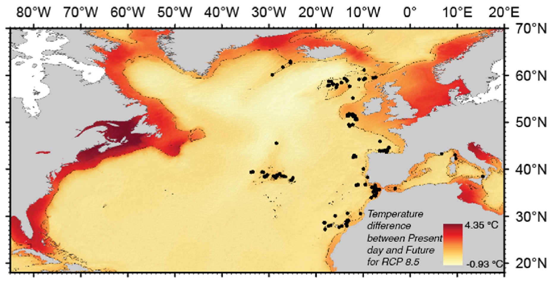 Present and future distribution of the deep-sea habitat-forming sponge – Pheronema carpenteri (Thomson, 1869) in a changing ocean