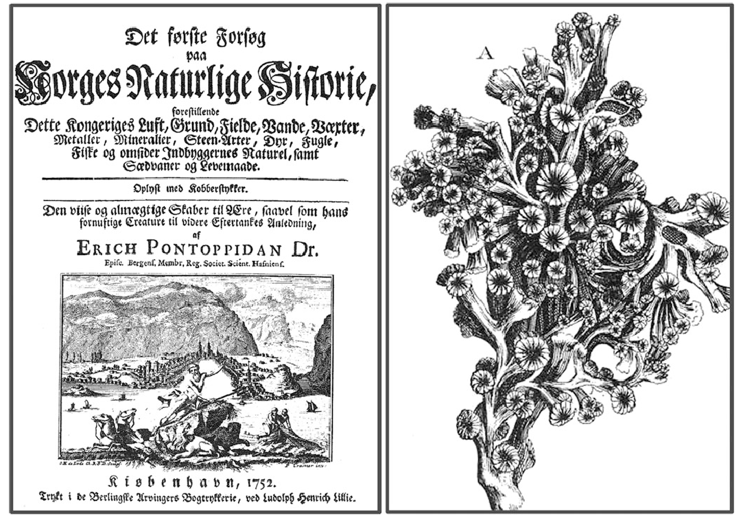 A Global View of the Cold-Water Coral Reefs of the World