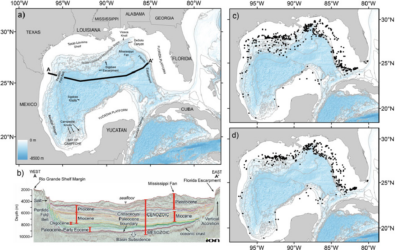 Cold-Water Corals of the World: Gulf of Mexico