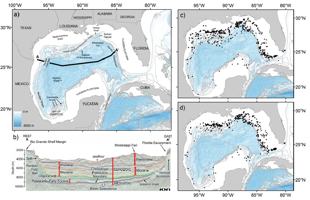 Cold-Water Corals of the World: Gulf of Mexico