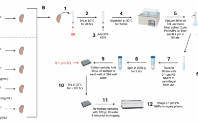 A Workflow for Assessing Particle Counts of Mixed Micro- and Nanoplastics in Exposed Laboratory Animals