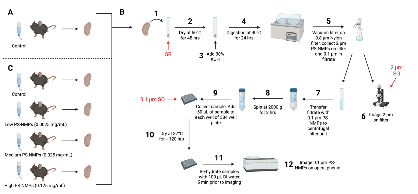 A Workflow for Assessing Particle Counts of Mixed Micro- and Nanoplastics in Exposed Laboratory Animals