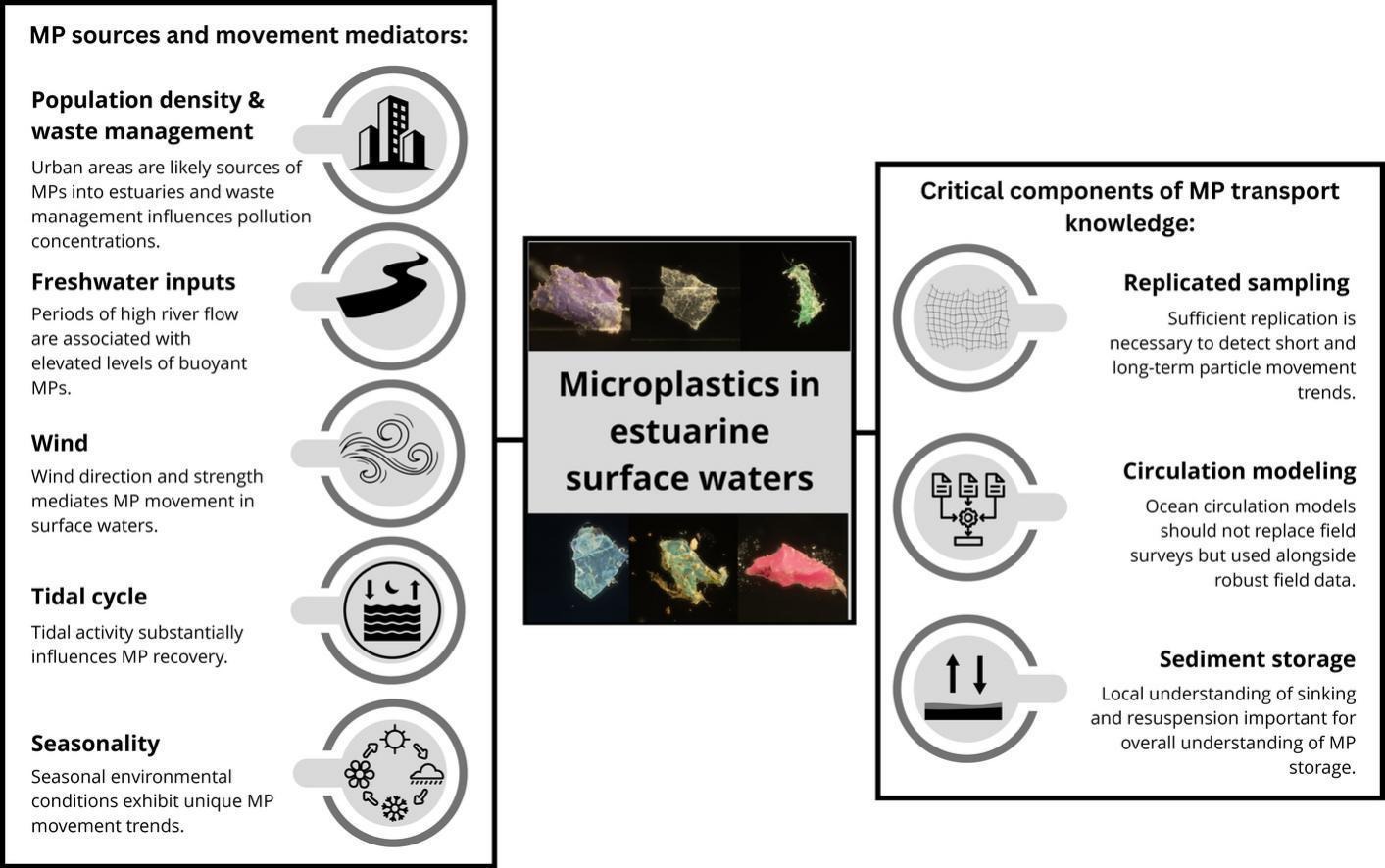 Comparing field-based microplastic observations with ocean circulation model outputs in estuarine surface waters along a human population gradient