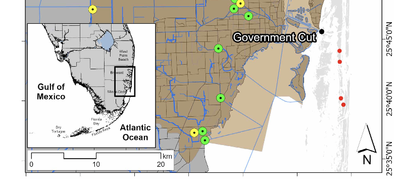 Terrestrial runoff and meteorology drive changes in coral reef water quality in southeast Florida, USA