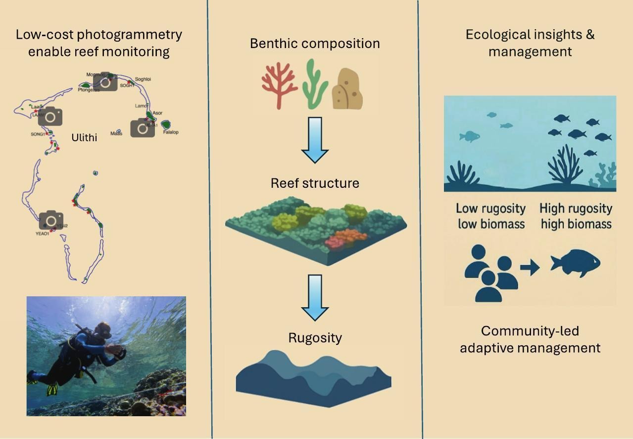 High-resolution photogrammetry reveals links between reef structural complexity, fish communities, and human influence in a remote Pacific atoll